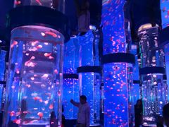 -石林冰雪海洋世界