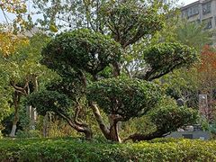 -广州神农草堂中医药博物馆