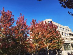 -辽宁大学(崇山校区)