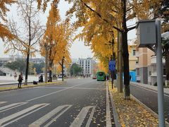 -四川大学(望江校区)