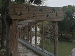 -南汇桃花村
