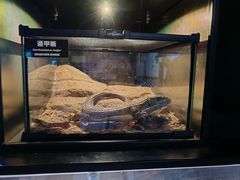 -太平洋海底世界