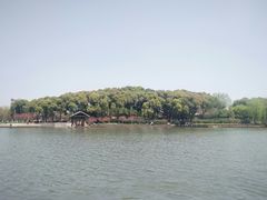 -圩墩遗址公园