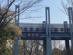 -宝界山林公园