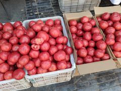 -中山美食街
