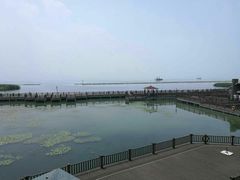 -新木器时代餐厅(太湖新天地店)
