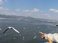 -滇池海埂公园