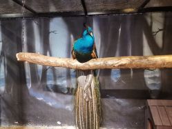 -酷嗒动物文化乐园(cutezoo西溪乐天城店)