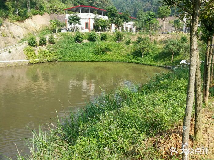 福缘山庄图片 - 第15张