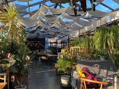 -北马山庄植趣咖啡