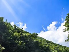 -本溪汤沟绿石谷森林公园
