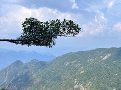 -三清山风景名胜区