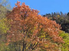-叠溪松坪沟景区
