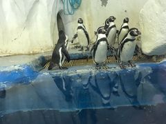 -太平洋海底世界