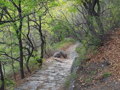 -阳台山自然风景区