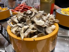 平菇-喜家自助小火锅(乐客城店)