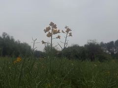 -艾溪湖湿地公园