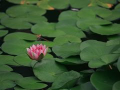 -国家植物园南园