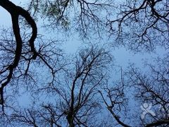 iphone_upload_pic-迎泽公园