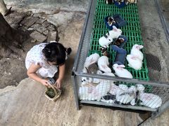 -史努比缤纷世界