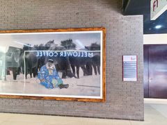 -麦隆咖啡(北大店)