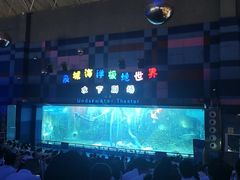 -泉城欧乐堡海洋极地世界
