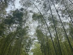 -东白山