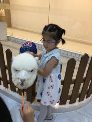 -Moni星球萌宠·小马宝莉·灵蛇·高端高阶全萌宠互动体验俱乐部(红豆国际广场店)