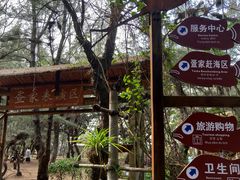 -北海金海湾红树林生态旅游区