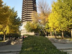 -玲珑塔公园