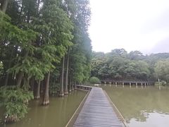 -采石矶景区