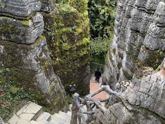 -梭布垭石林景区