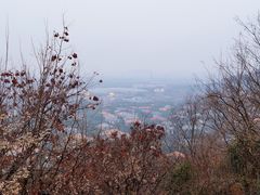 -上海佘山国家森林公园西佘山园