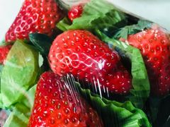 -百果园PAGODA(玄武成贤街店)