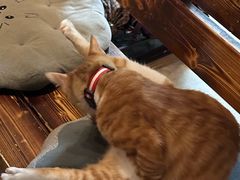 -逃脱反斗城沉浸剧情密室(北京路店)