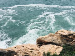 -广东惠东海龟国家级自然保护区