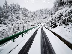 -龙苍沟森林公园