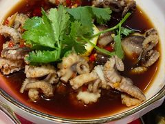 捞汁八爪鱼-辣小鲜·南昌大排档(船山路店)