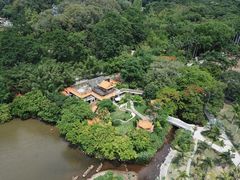 -深圳仙湖植物园
