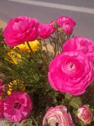 -孩子王(昆山招商花园城店)