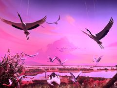 -中国湿地博物馆