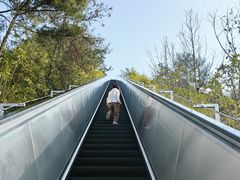 -千岛湖天屿景区
