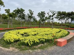 -春花秋色城市公园