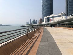 -演武大桥观景平台