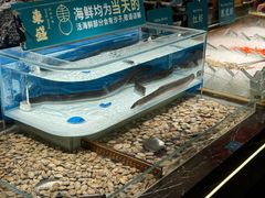 -東盛炭烤自助料理(玄武招商花园城店)