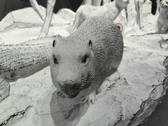 -中国湿地博物馆