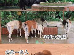 -深圳野生动物园