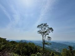 -广州市帽峰山景区