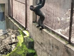 -昆明动物园