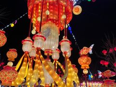 -淄博花灯齐彩城